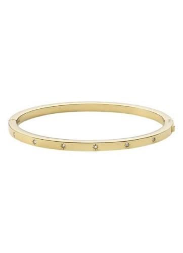 Fossil Sutton bangle met steen JF03872710