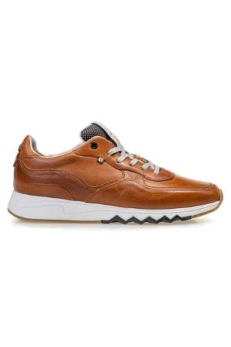 Floris van Bommel sneakers cognac leer