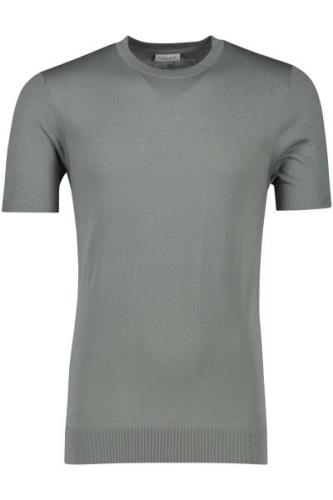 Tencel t-shirt Profuomo groen ronde hals