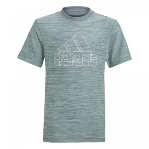 Adidas B a.r htr tee