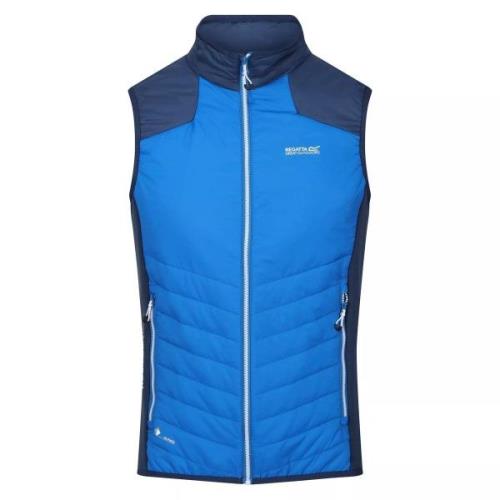 Regatta Heren halton vi lichtgewicht body warmer