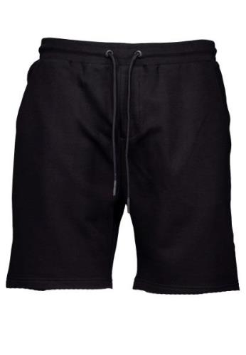 Iceberg Shorts