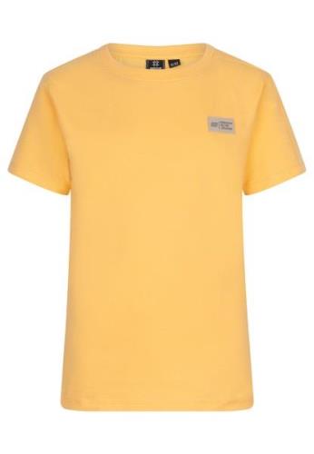 Indian Blue Jongens t-shirt ib logo bleached