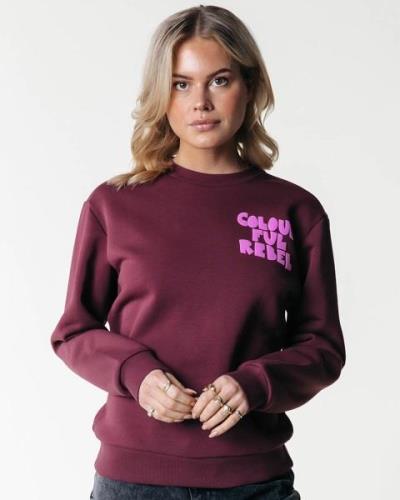 Colourful Rebel Sweat ws416243 logo wav