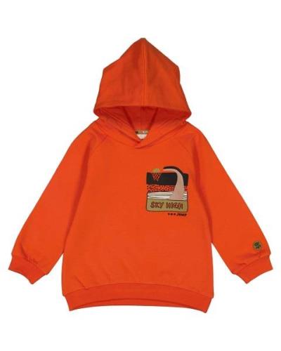 Sturdy Hoodie 71600574