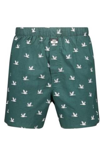 America Today Boxershort thomas p