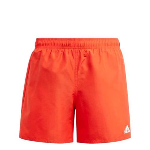 Adidas yb bos shorts -