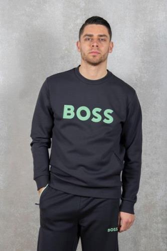 Hugo Boss Salbo 1